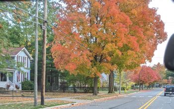Fall in Michigan