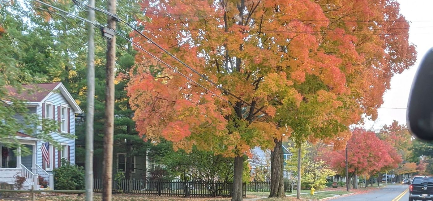Image: Fall colors in Michigan (photo by Eric Bowman)