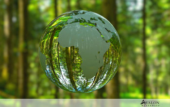 Avalon Waterways' partnership with Trees4Travel.