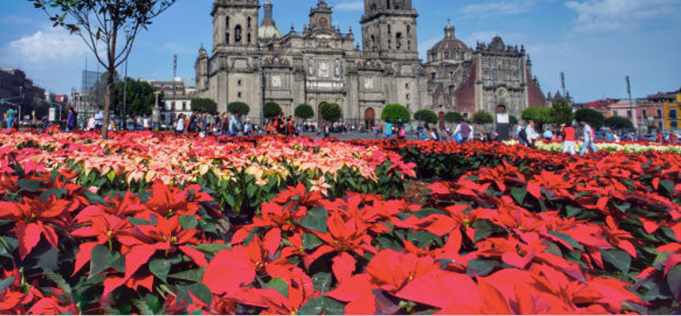 Image: Like all big capitals, Mexico City faces insecurity problems, so when visiting it we have to always be alert. (Photo via Carrie Thompson / iStock / Getty Images Plus).
