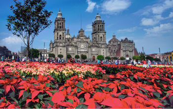 Like all big capitals, Mexico City faces insecurity problems, so when visiting it we have to always be alert. (Photo via Carrie Thompson / iStock / Getty Images Plus).