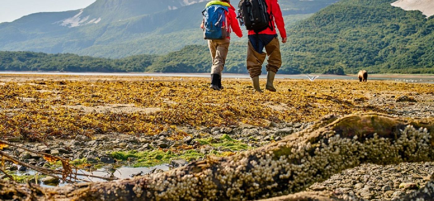 Image: Katmai National Park in Alaska. (photo via Hurtigruten)