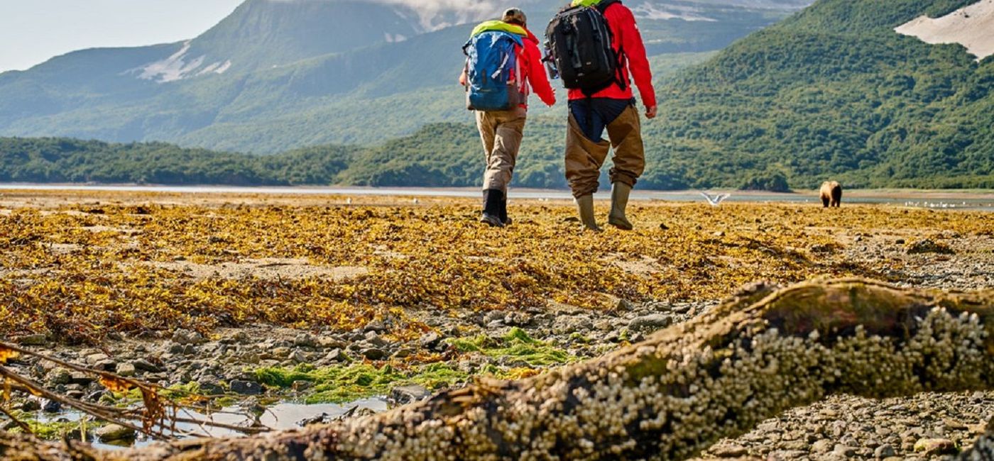 Image: The most domestic destination for 2021 was Alaska. Pictured, Katmai National Park in Alaska. (photo via Hurtigruten)