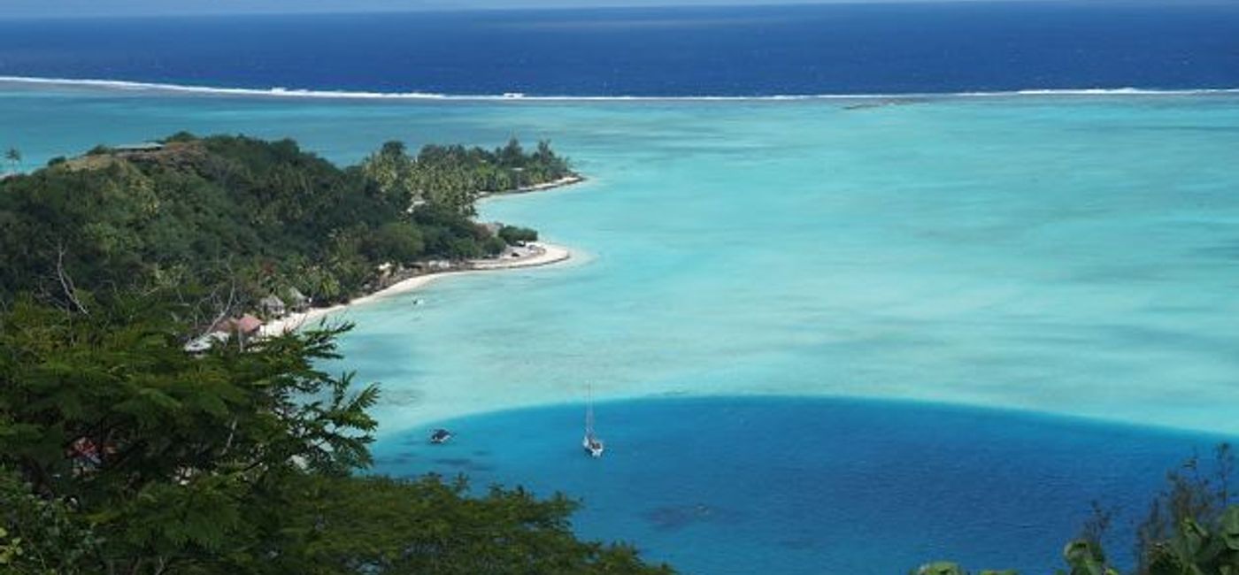 Image: PHOTO: In 2001, Le Meridien Bora Bora opened the island's first and only turtle recovery center. (photo by John Roberts)
