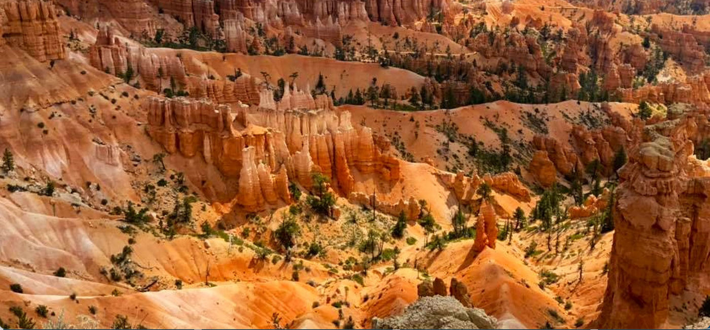 Image: Hoodoos of Bryce Canyon (Photo via Noreen Kompanik)