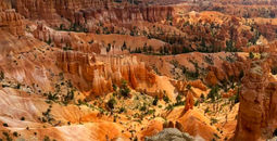 Hoodoos of Bryce Canyon
