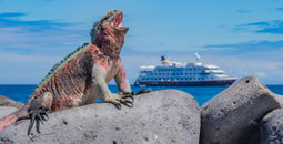 Hurtigruten Galapagos cruises