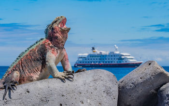 Hurtigruten Galapagos cruises