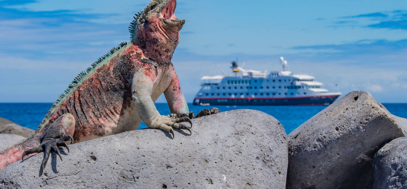 Image: Travelers are interested in expedition cruises to destinations like the Galapagos (Photo Credit: Hurtigruten Expeditions)