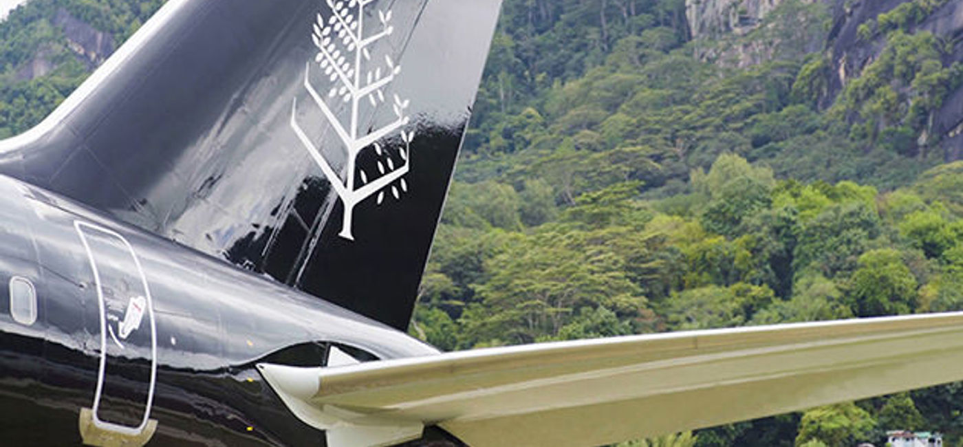 Image: PHOTO: Four Seasons Private Jet. (photo courtesy of Four Seasons)