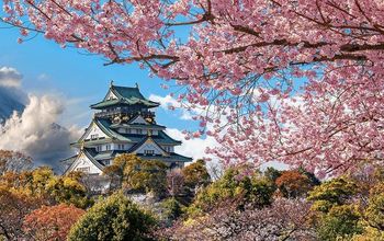 Princess Cruises announces 2024 Japan season.