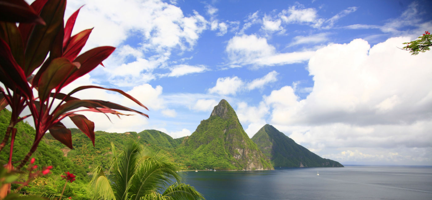 Image: Pitons and flowers in Saint Lucia. (photo via Saint Lucia Tourist Board)