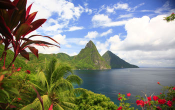 Pitons and flowers in Saint Lucia