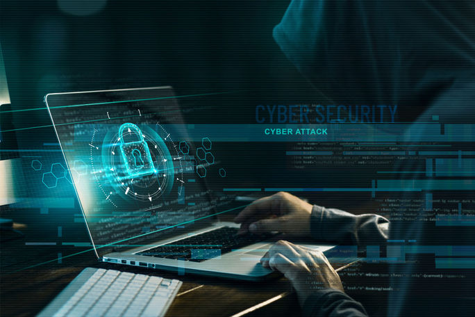 Cybercriminal. Cybercriminal.