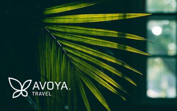 Avoya Travel