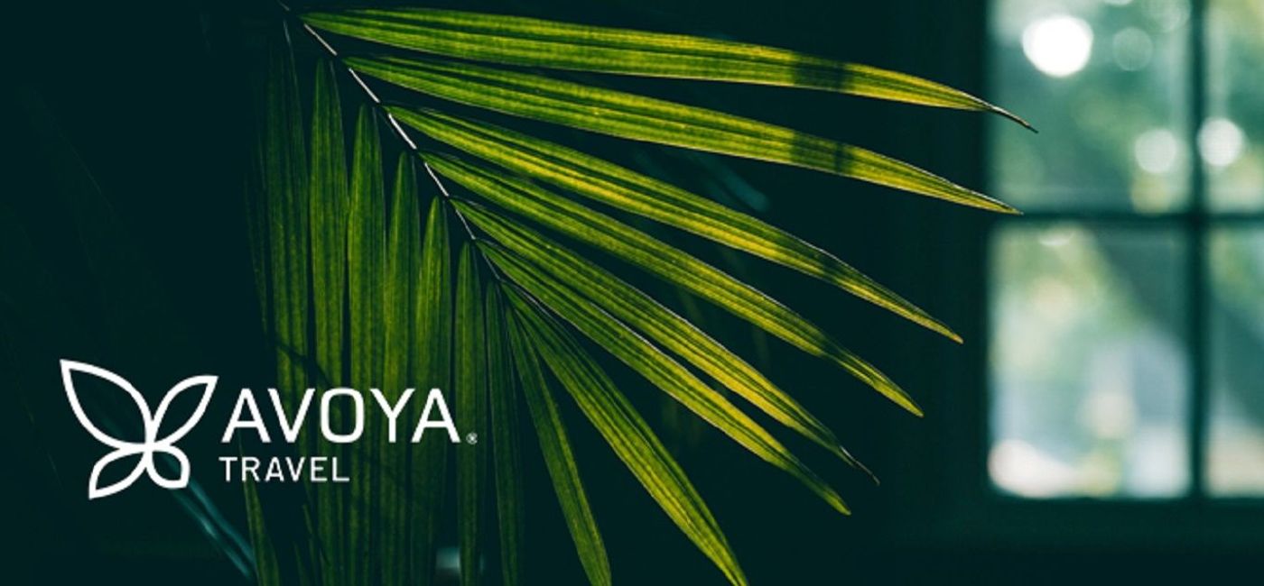 Image: Avoya Travel logo. (photo via Avoya Travel)