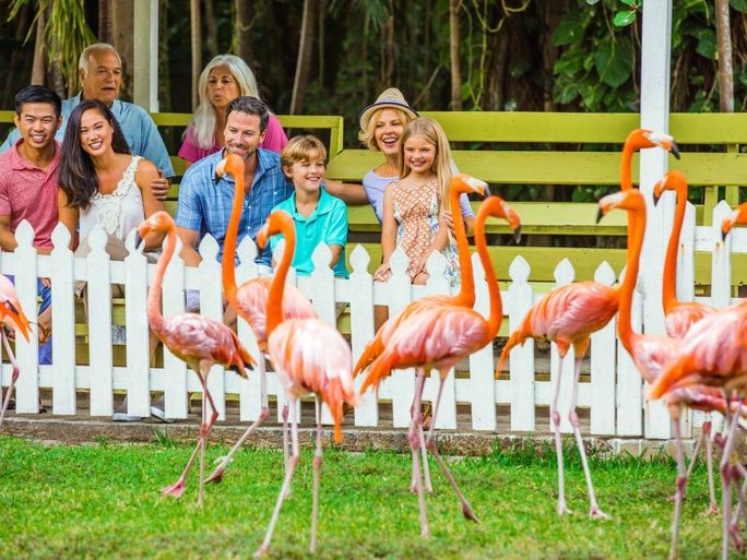 Nassau Paradise Island conservation Nassau Paradise Island conservation