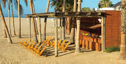 Get up to 35% off and round-trip transfers for your clients + 2% additional commission for you
