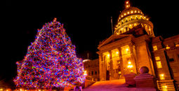 Beautiful Christmas tree decorated with colorful lights in front of Idaho State Capitol building in Boise, Idaho, USA