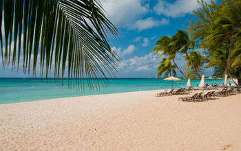 The Cayman Islands