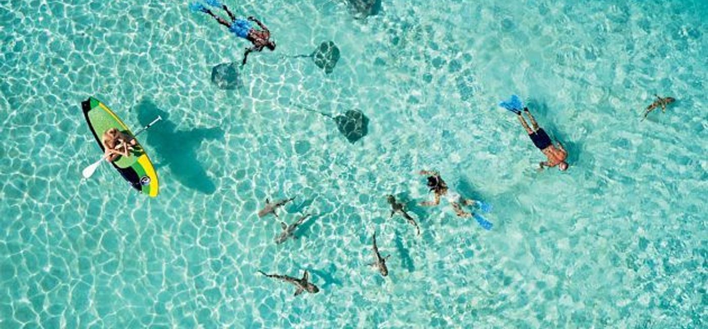 Image: PHOTO: Paul Gauguin passengers snorkeling with stingrays in a South Pacific lagoon. (photo courtesy of Paul Gauguin Cruises)
