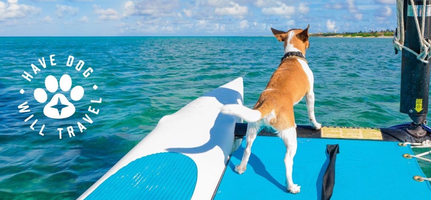 Image: Aruba's 'Have Dog, Will Travel' promotion runs through October 20, 2022. (photo courtesy of Aruba Tourism Authority)