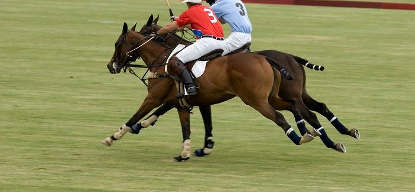 Image: PHOTO: An intense moment at an Argentina polo match. (photo courtesy of Thinkstock) (Thinkstock via InterestingLight)