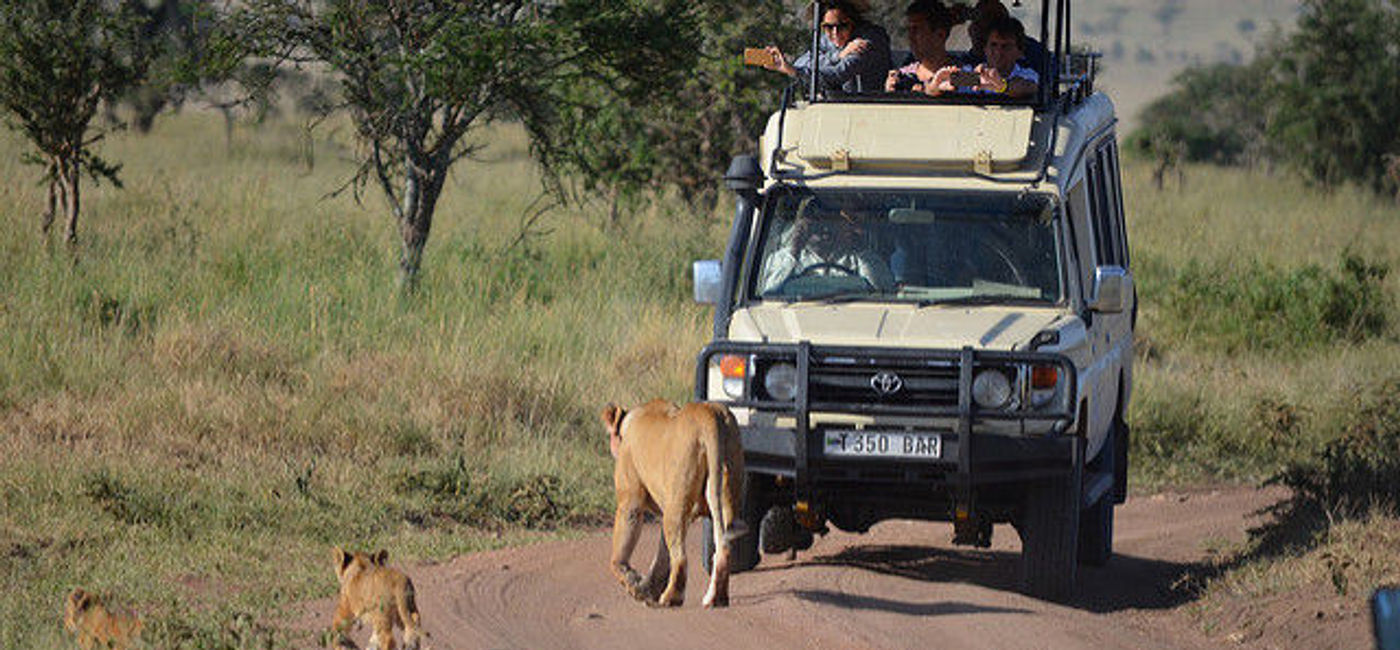 Image: PHOTO: Tourists on an African safari (photo via Flickr/Christine Olson)