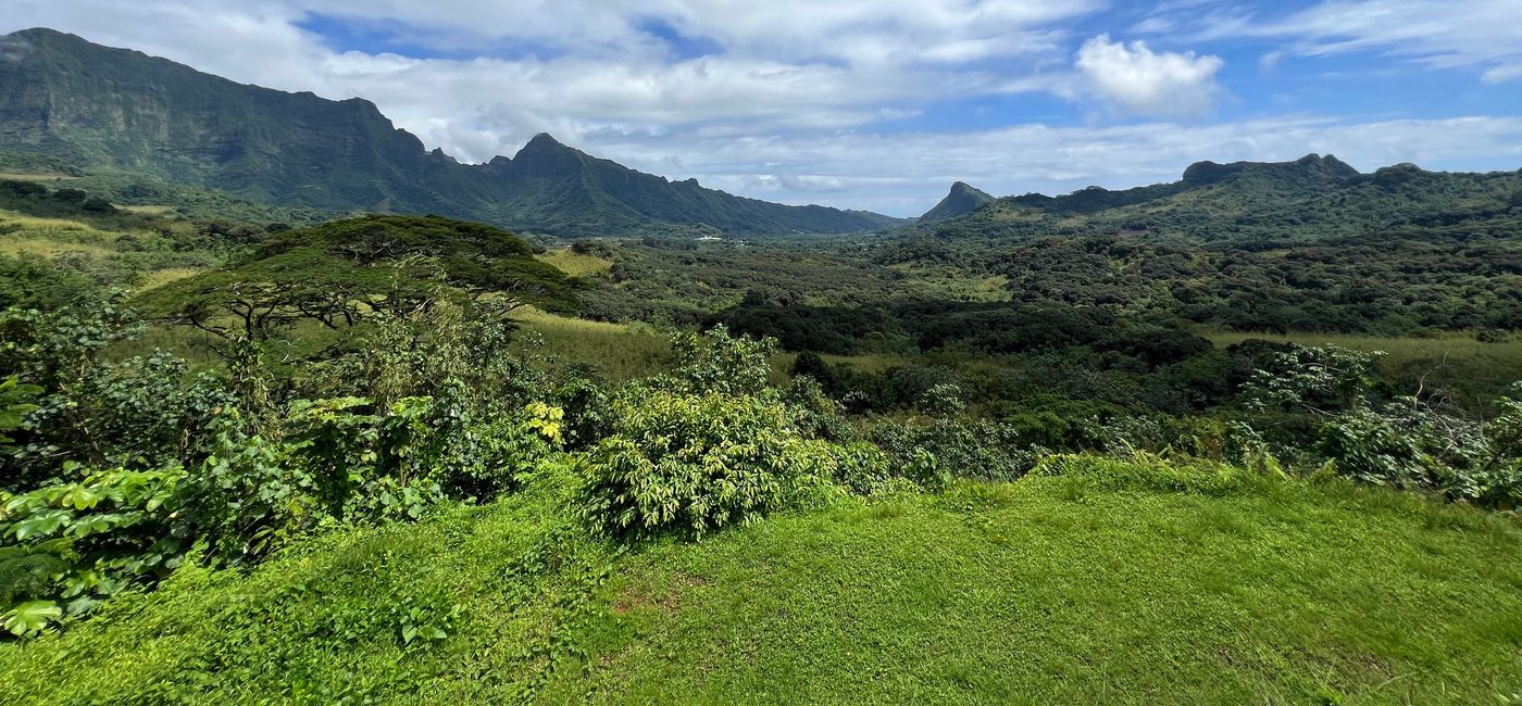 Image: Faaroa Tahiti Caldera. (Photo Credit: Chelsea Davis)