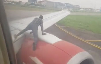 Man on Wing of Plane