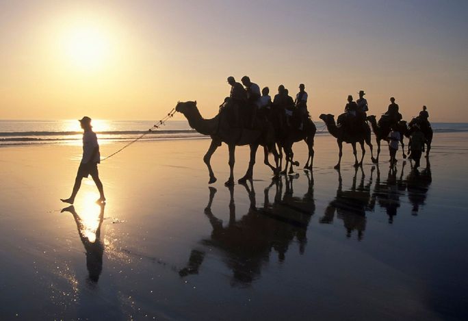 Camel trekking in Essaouira, Morocco Camel trekking in Essaouira, Morocco