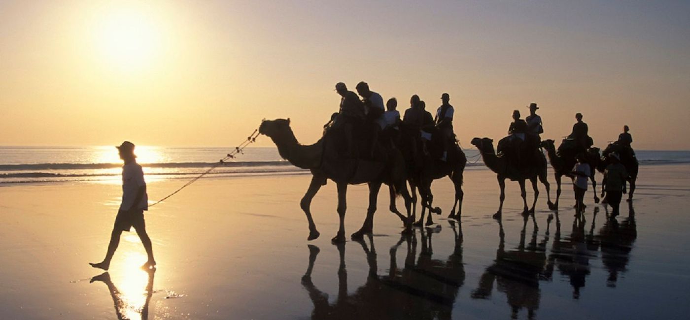 Image: PHOTO: Camel trekking in Essaouira, Morocco. (photo courtesy of Exodus Travels)