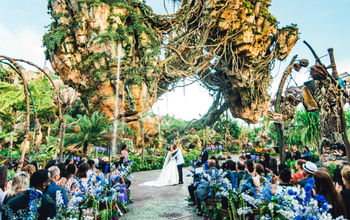 Disney’s Fairy Tale Weddings & Honeymoons.