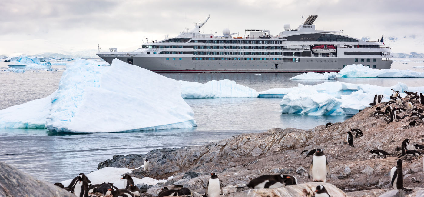 Image: Le Lyrial sailing past a rookery of penguins. (photo via A&K) (Abercrombie & Kent)
