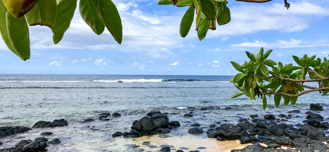 Image: Larsen's Beach, Kauai(Photo by Lauren Breedlove)