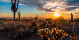 Scottsdale, Arizona