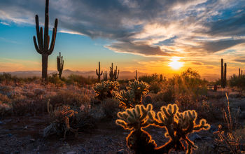 Scottsdale, Arizona