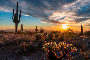 Scottsdale, Arizona