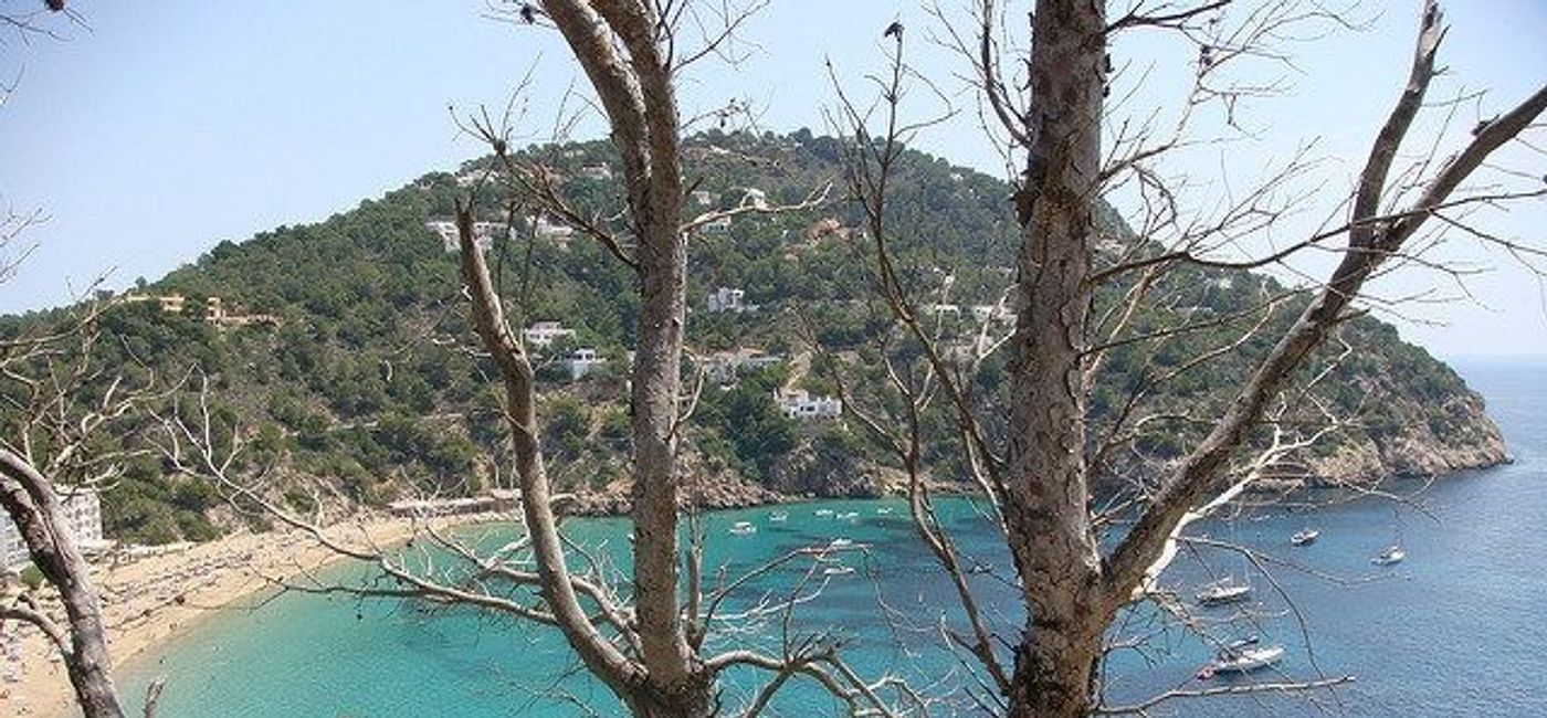 Image: PHOTO: Cala Compte Ibiza. (photo via flickr/Philip Larson) (flickr)