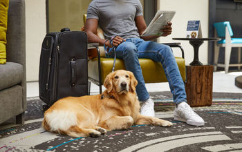 Hilton PetCare