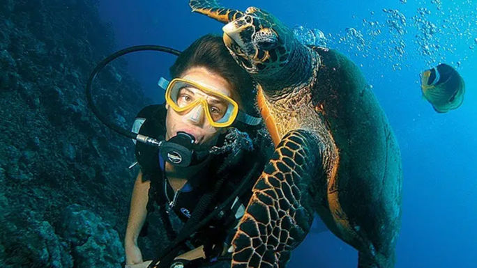Scuba diving with Paul Gauguin Cruises Scuba diving with Paul Gauguin Cruises