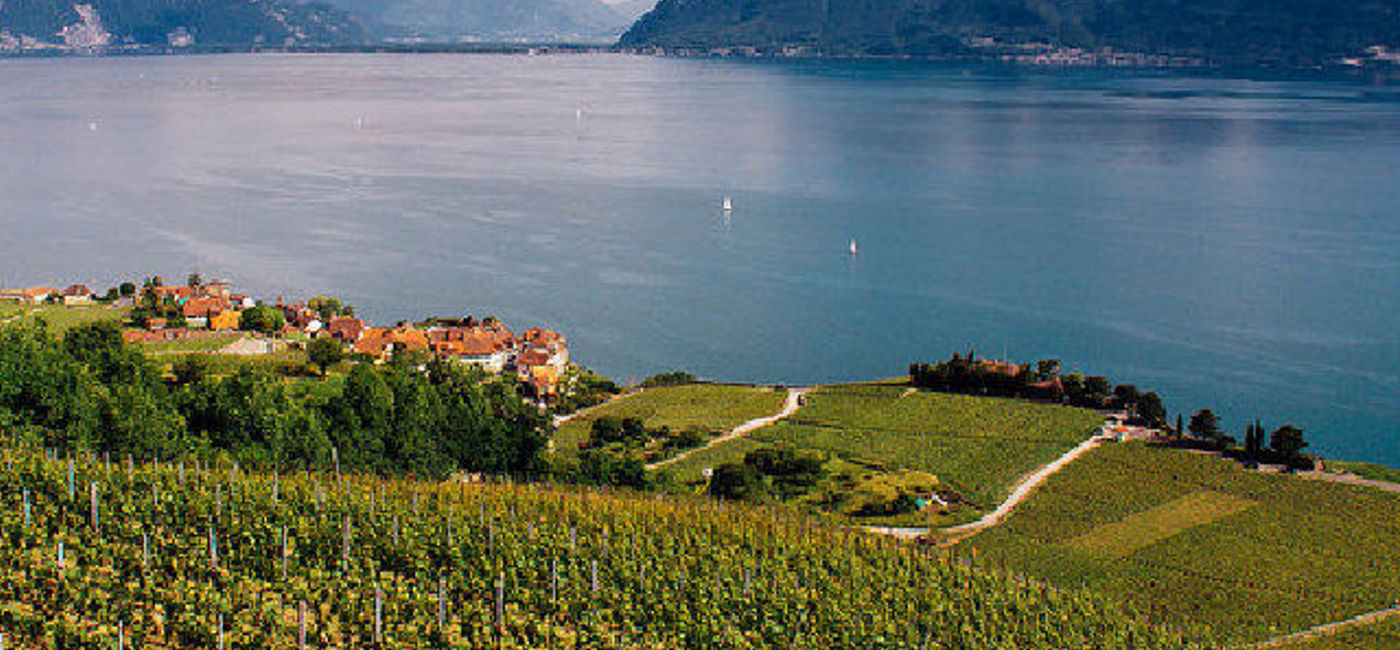 Image: PHOTO: Lavaux on Lake Geneva, Switzerland. (photo via Flickr/Damian Zech)