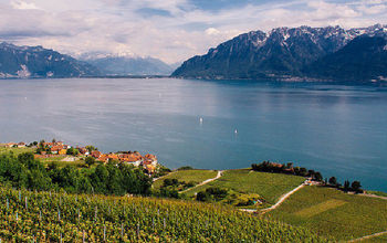 Lavaux on Lake Geneva, Switzerland