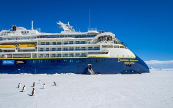Lindblad Expeditions, National Geographic Resolution, expedition cruise, penguins, Antarctica