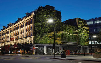 Red Carnation Hotel living wall
