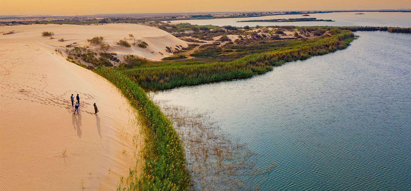 Image: Al Ahsa oasis (photo courtesy Saudi Tourism Authority)
