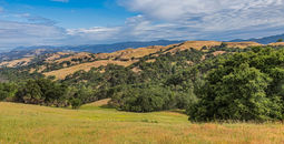 View of Santa Rosa in Sonoma County, California