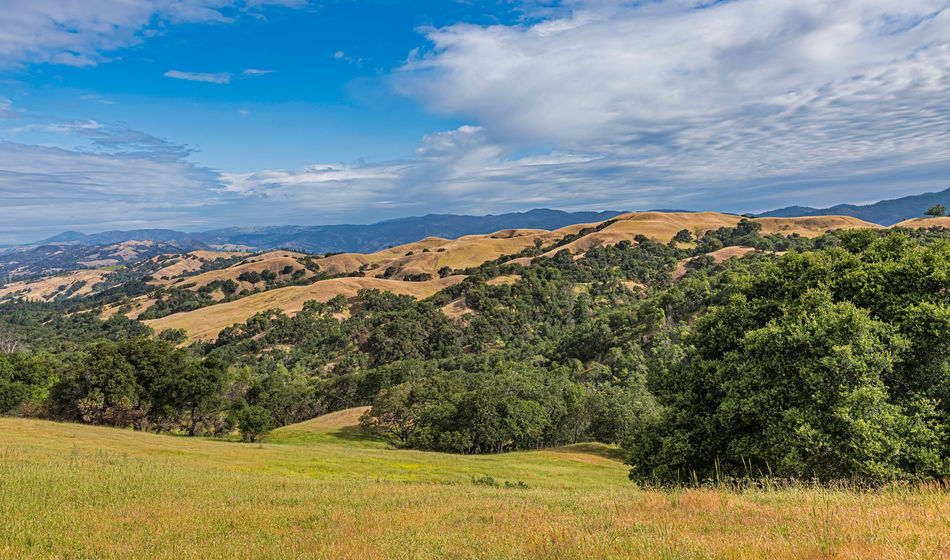 View of Santa Rosa in Sonoma County, California
