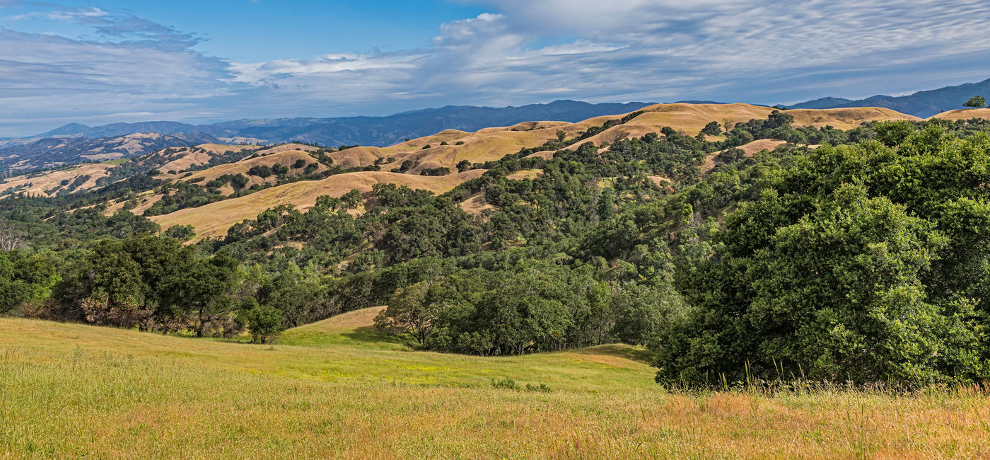 Image: View of Santa Rosa in Sonoma County, California. (photo via Gerald Corsi/iStock/Getty Images Plus)
