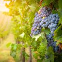  Have the adventure of your dreams with Exodus Travels New Premium Adventure Collection  